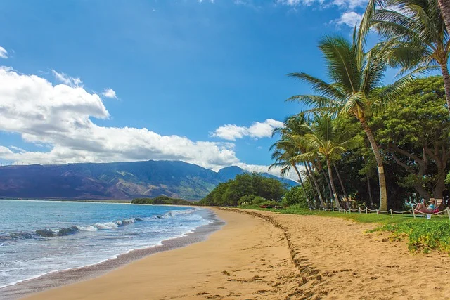 image of a beach in Maui in hawaii which is one of the best family-friendly destinations to travel in the world